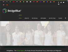 Tablet Screenshot of bridgeblueglobal.com